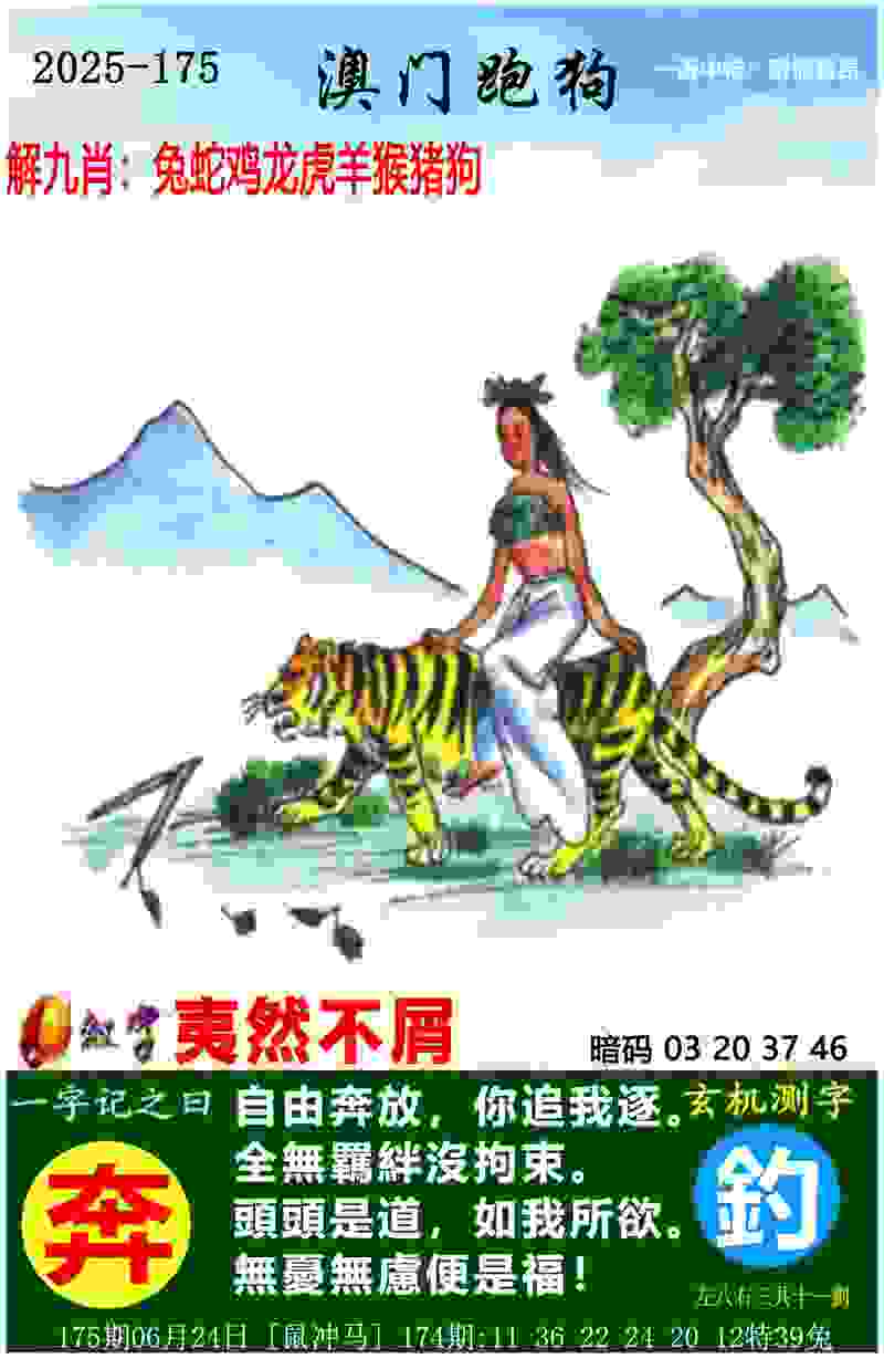 >2025年澳门历史记录查询